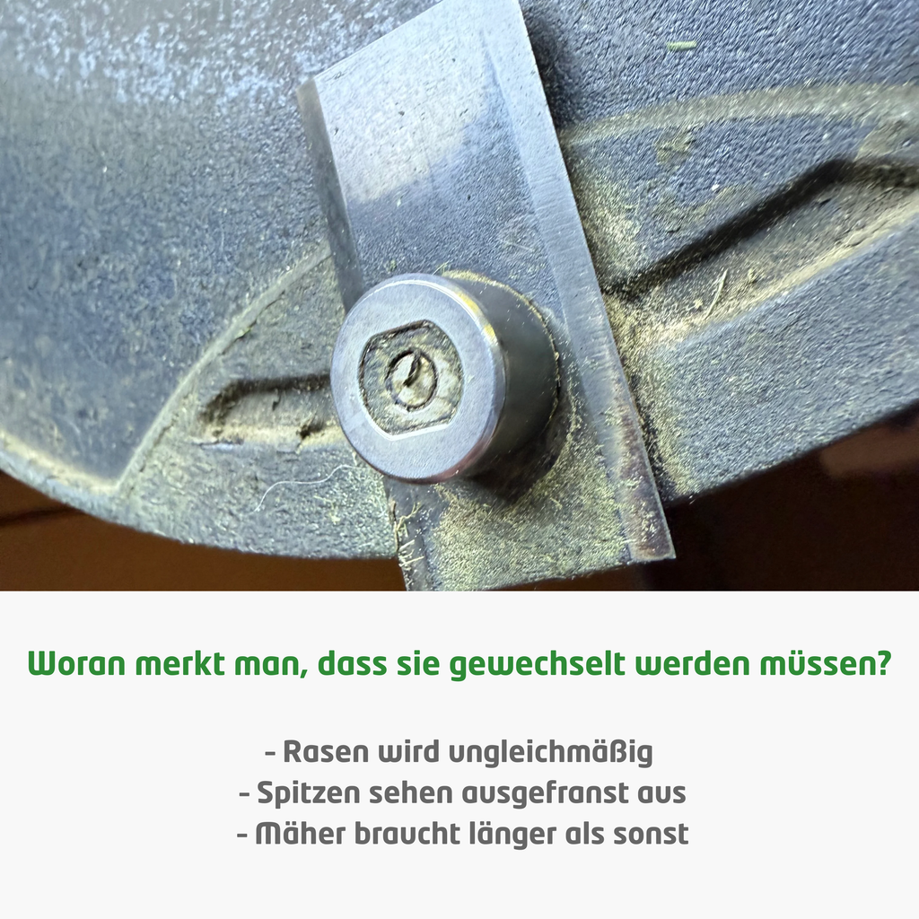 12er Pack Ersatzklingen